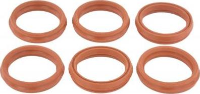 Febest RINGOL-063-PCS6 - Уплотнительное кольцо, шахта свечи abcparts.ee