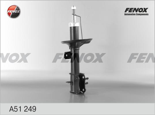 Fenox A51249 - Амортизатор abcparts.ee