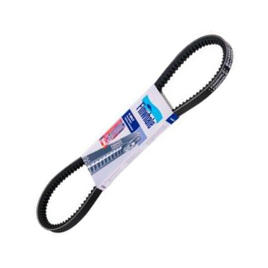 Finwhale BV13x825 - Клиновой ремень, поперечные рёбра abcparts.ee