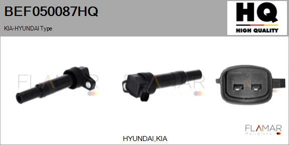 FLAMAR BEF050087HQ - Катушка зажигания abcparts.ee