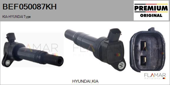 FLAMAR BEF050087KH - Катушка зажигания abcparts.ee