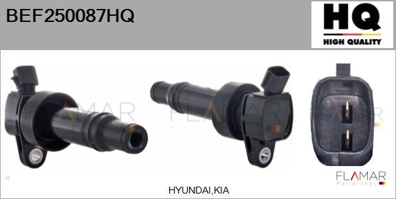 FLAMAR BEF250087HQ - Катушка зажигания abcparts.ee