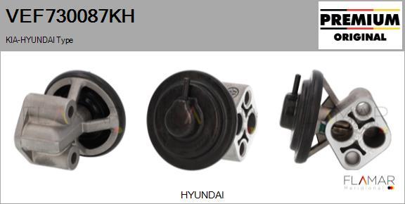 FLAMAR VEF730087KH - Клапан возврата ОГ abcparts.ee