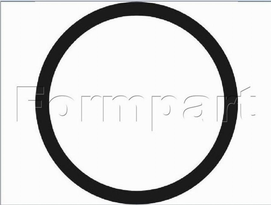 Formpart 1521003/S - Прокладка, термостат abcparts.ee