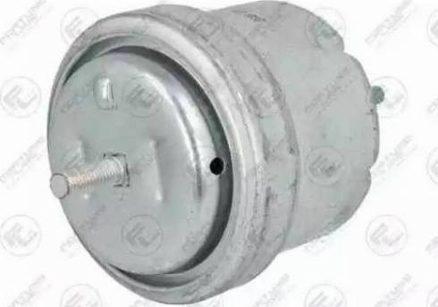 Fortune Line FZ90667 - Подушка, опора, подвеска двигателя abcparts.ee