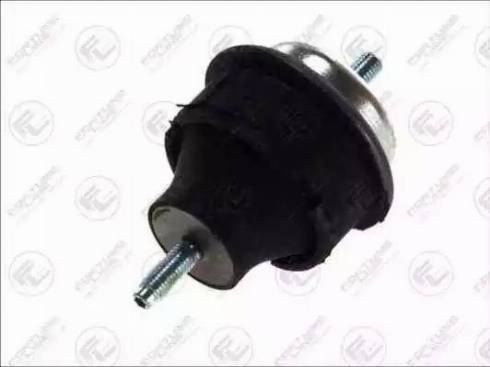 Fortune Line FZ90014 - Подушка, опора, подвеска двигателя abcparts.ee