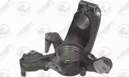 Fortune Line FZK001P - Поворотный кулак, подвеска колеса abcparts.ee
