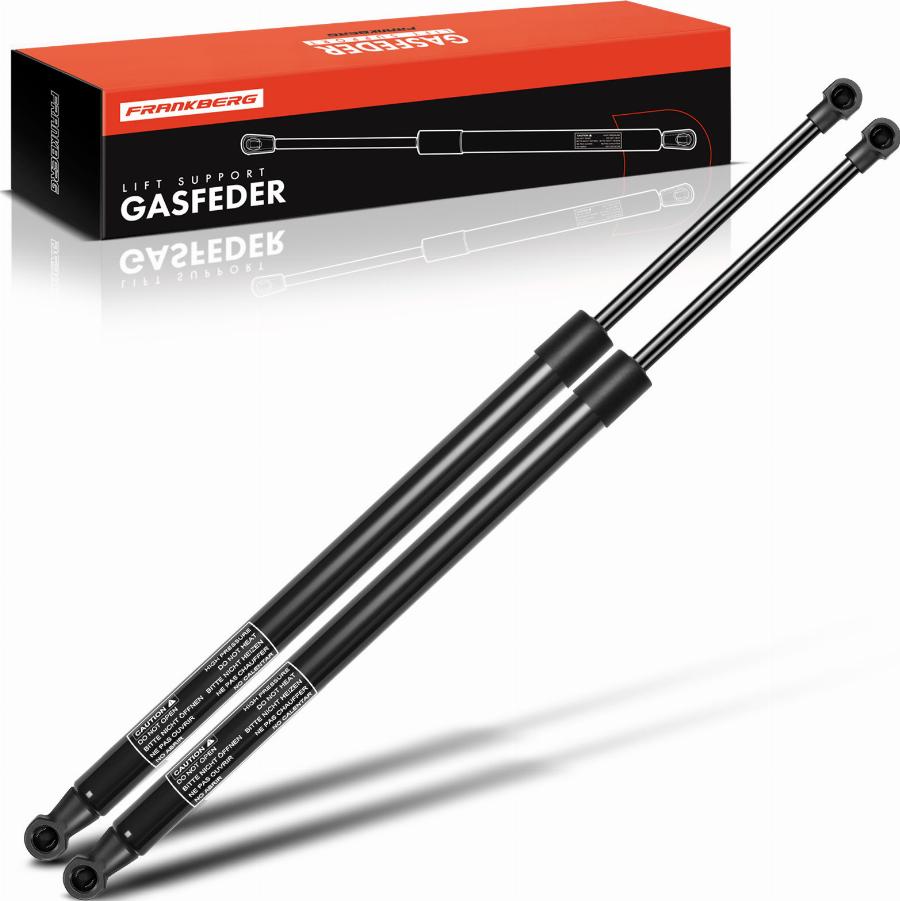 FRANKBERG 5481FB0047909 - Газовая пружина, упор abcparts.ee