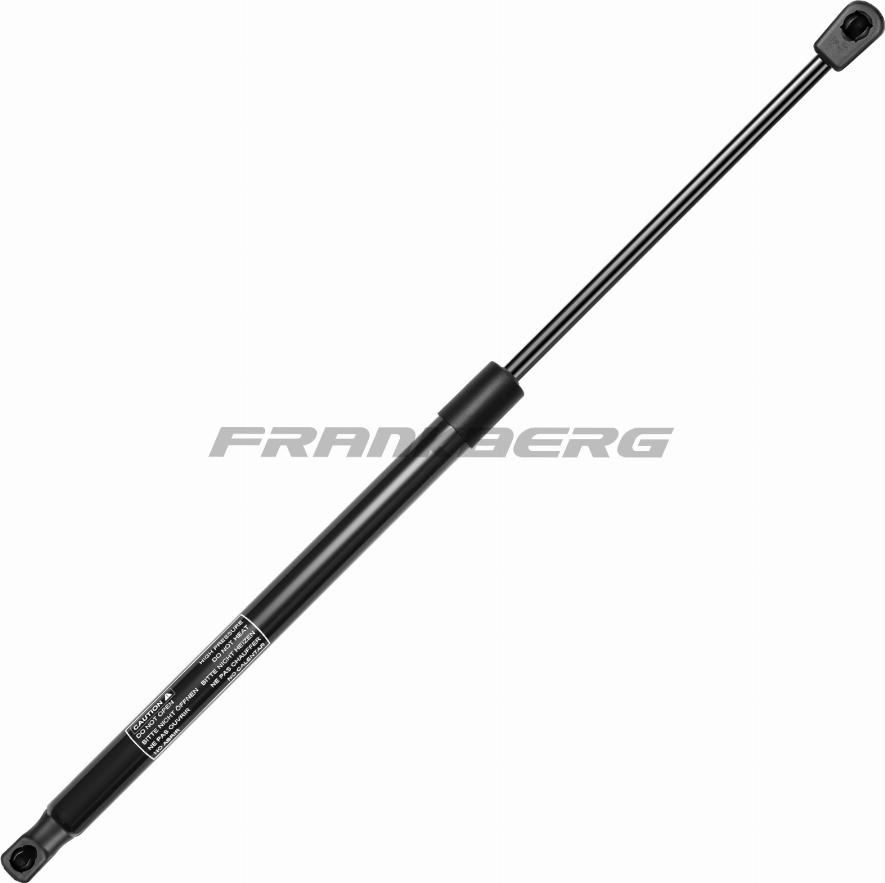 FRANKBERG 5481FB0013998 - Газовая пружина, капот abcparts.ee