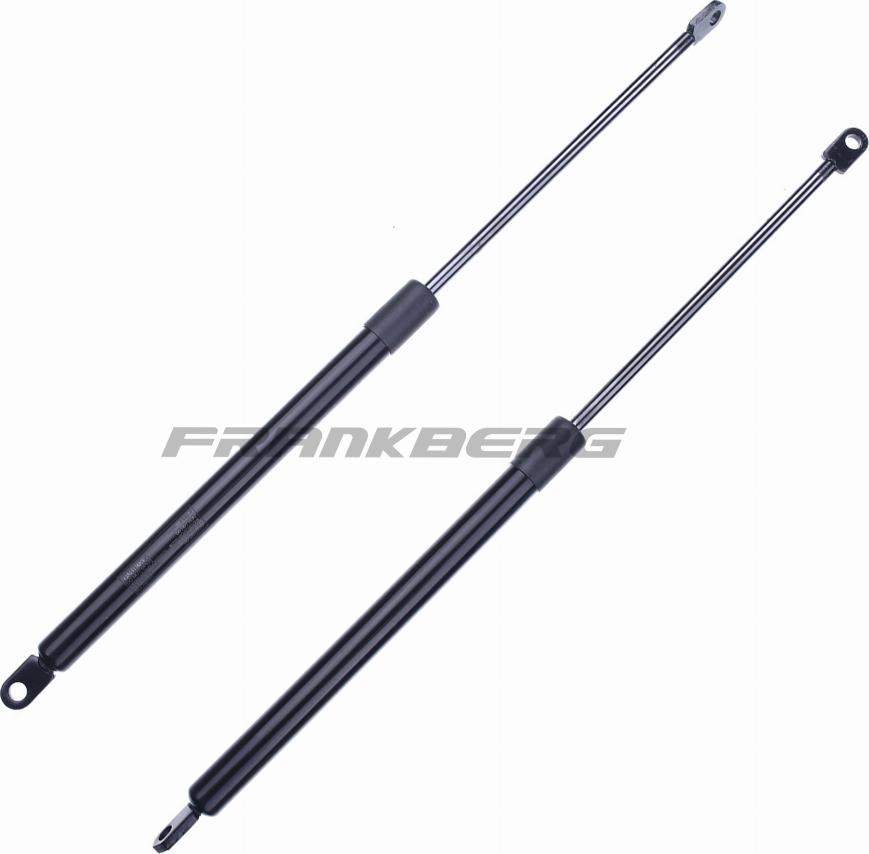 FRANKBERG 5481FB0013464 - Газовая пружина, капот abcparts.ee