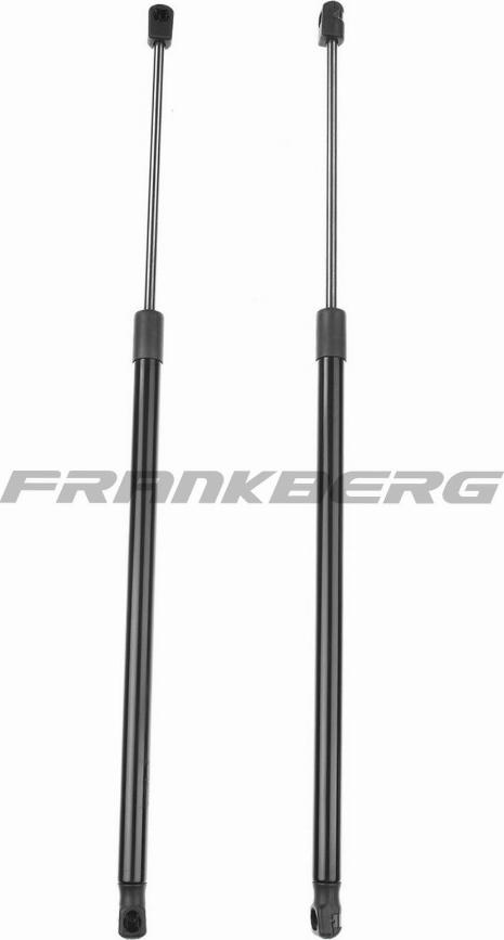 FRANKBERG 5481FB0013425 - Газовая пружина, упор abcparts.ee