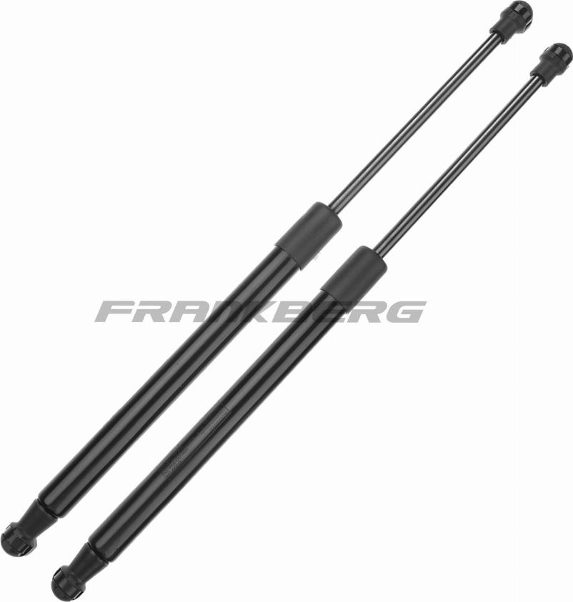 FRANKBERG 5481FB0013848 - Газовая пружина, упор abcparts.ee