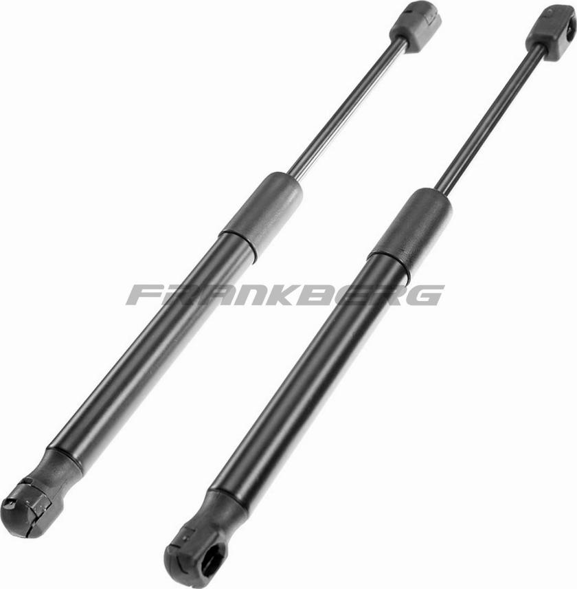 FRANKBERG 5481FB0013866 - Газовая пружина, капот abcparts.ee