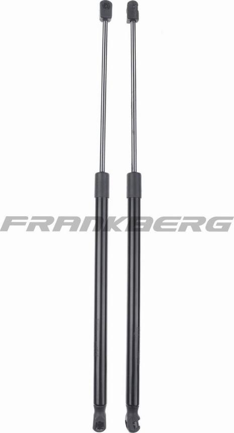 FRANKBERG 5481FB0013862 - Газовая пружина, упор abcparts.ee