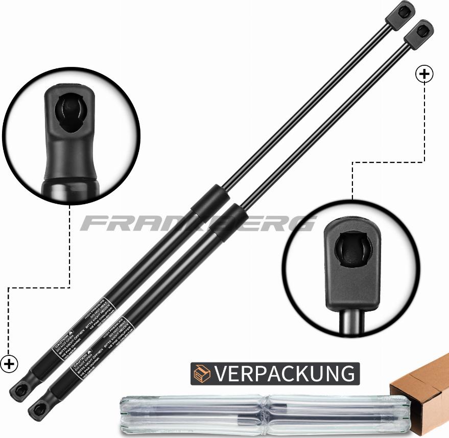 FRANKBERG 5481FB0013838 - Газовая пружина, капот abcparts.ee