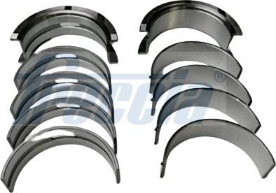 Freccia MB19-102300 - Комплект подшипников коленчатого вала abcparts.ee