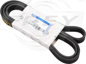 FREY 821608001 - Поликлиновой ремень abcparts.ee