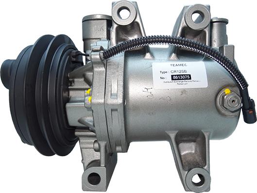 Friesen FRC13075 - Компрессор кондиционера abcparts.ee