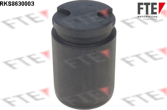 FTE 9313025 - Поршень, корпус скобы тормоза abcparts.ee