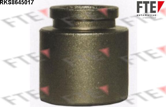 FTE 9313070 - Поршень, корпус скобы тормоза abcparts.ee