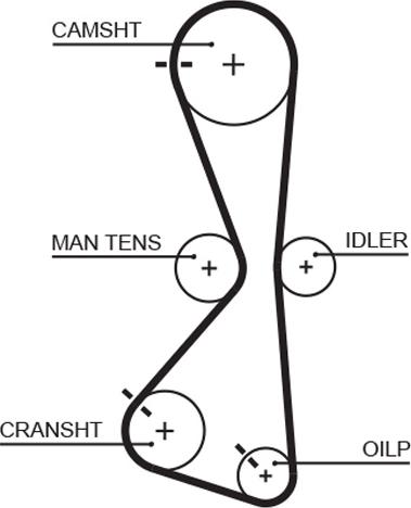 GATES 5609XS - Зубчатый ремень ГРМ abcparts.ee