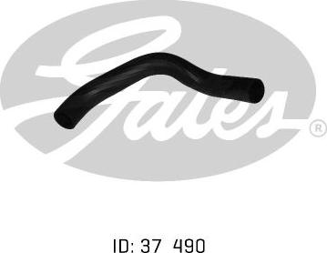 GATES 05-0383 - Шланг радиатора abcparts.ee