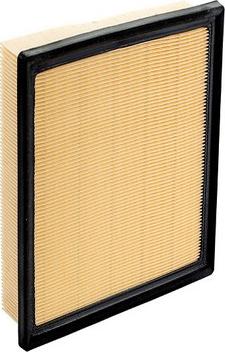 GCG Turbos Australia RY-A1838 - Воздушный фильтр двигателя abcparts.ee