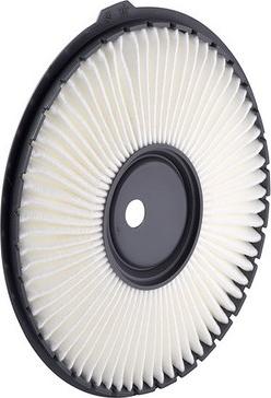 GCG Turbos Australia RY-A1211 - Воздушный фильтр двигателя abcparts.ee