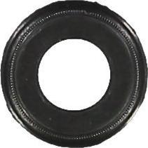 Glaser P76630-00 - Уплотнительное кольцо, стержень клапана abcparts.ee