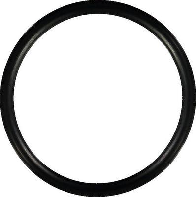 Glaser W73455-01 - Прокладка, впускной коллектор abcparts.ee