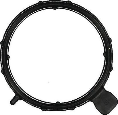 Glaser X90282-01 - Прокладка, крышка головки цилиндра abcparts.ee