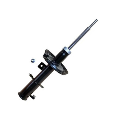 GOOM F210G0587 - Амортизатор abcparts.ee