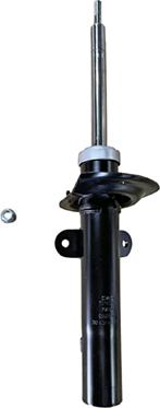 GOOM F210G1574 - Амортизатор abcparts.ee