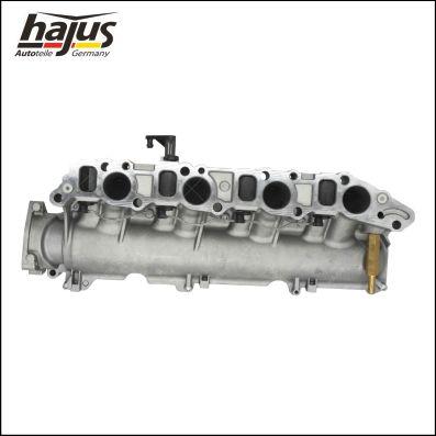 hajus Autoteile 2511042 - Модуль впускной трубы abcparts.ee