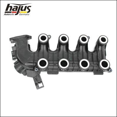 hajus Autoteile 2511068 - Модуль впускной трубы abcparts.ee