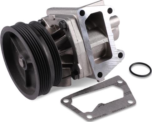 Hepu P1033 - Водяной насос abcparts.ee