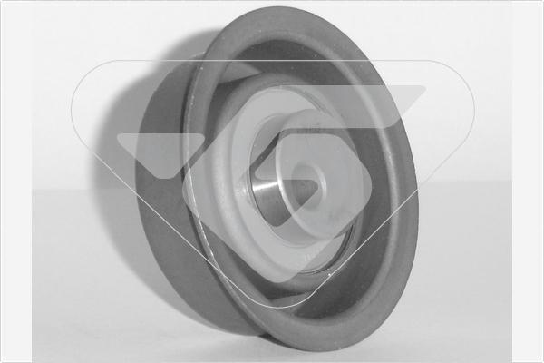 Hutchinson HTG 254 - Натяжной ролик, зубчатый ремень ГРМ abcparts.ee