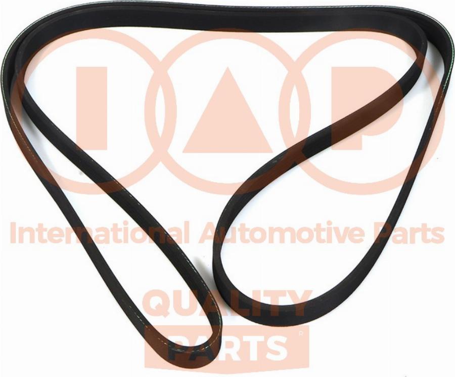 IAP QUALITY PARTS 140-29061 - Поликлиновой ремень abcparts.ee