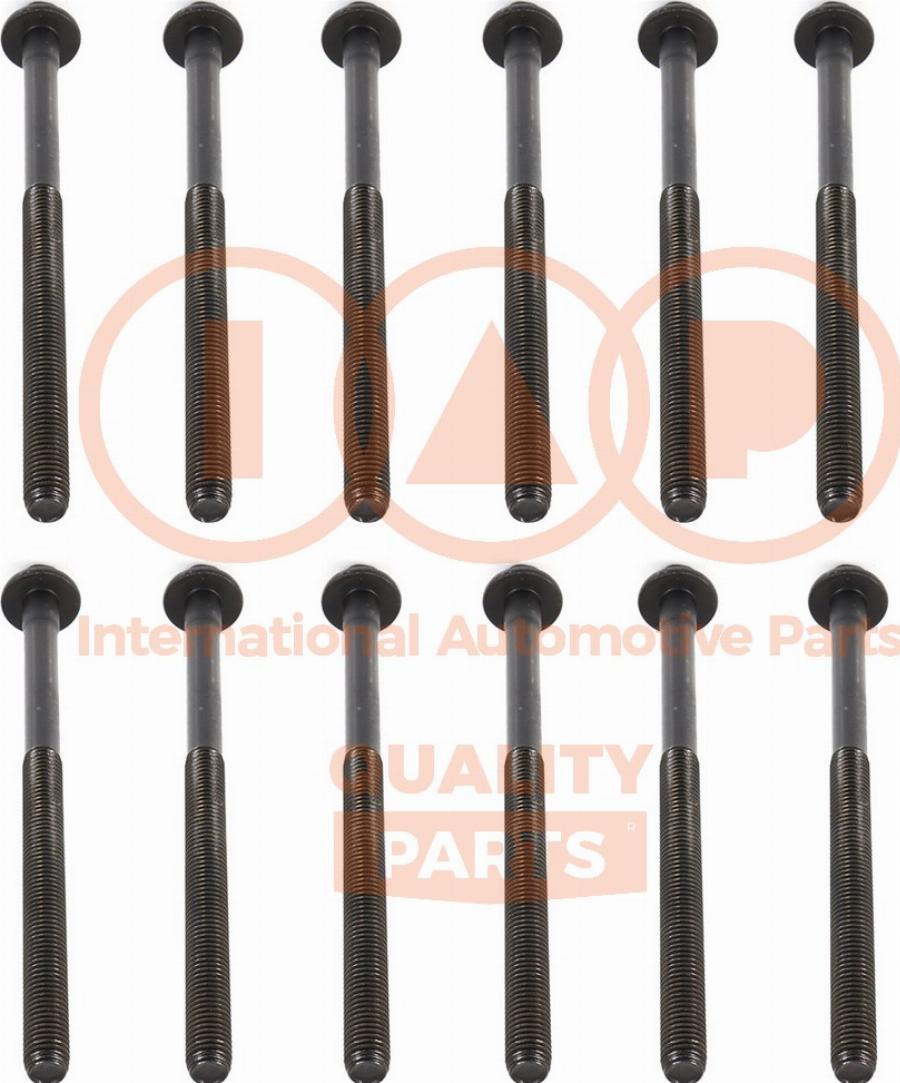 IAP QUALITY PARTS 119-56060 - Комплект болтов головки цилиндра abcparts.ee