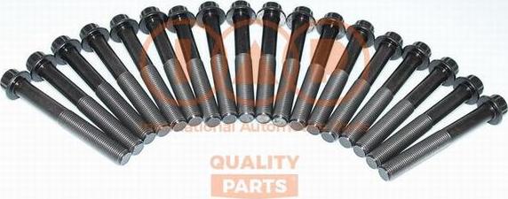 IAP QUALITY PARTS 119-12031G - Комплект болтов головки цилиндра abcparts.ee