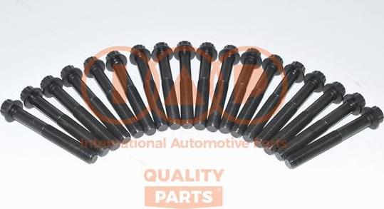 IAP QUALITY PARTS 119-12031 - Комплект болтов головки цилиндра abcparts.ee