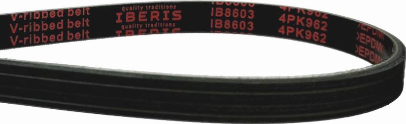 IBERIS IB8603 - Поликлиновой ремень abcparts.ee