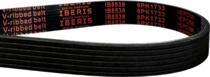 IBERIS IB8538 - Поликлиновой ремень abcparts.ee