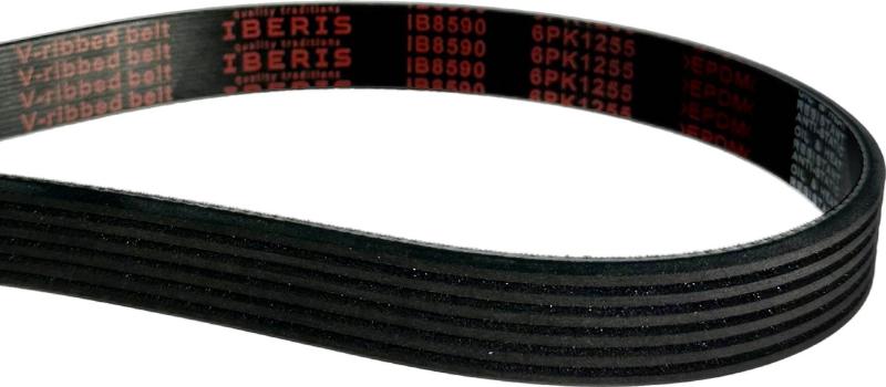 IBERIS IB8590 - Поликлиновой ремень abcparts.ee