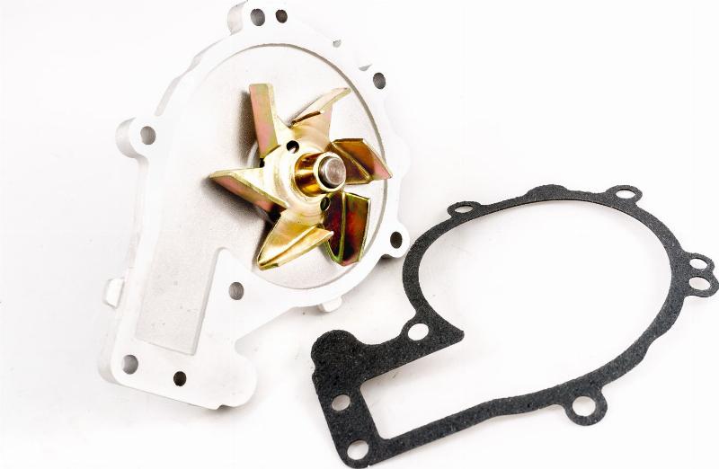 IBERIS IB3062 - Водяной насос abcparts.ee