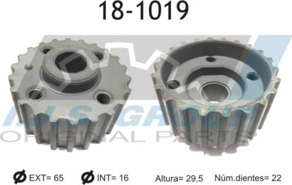 IJS GROUP 18-1019 - Шестерня коленвала abcparts.ee