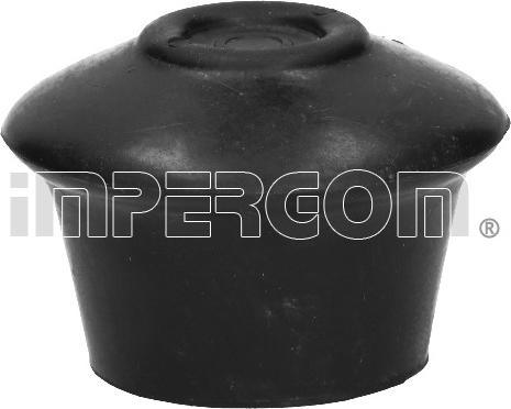 IMPERGOM 32209 - Подушка, опора, подвеска двигателя abcparts.ee