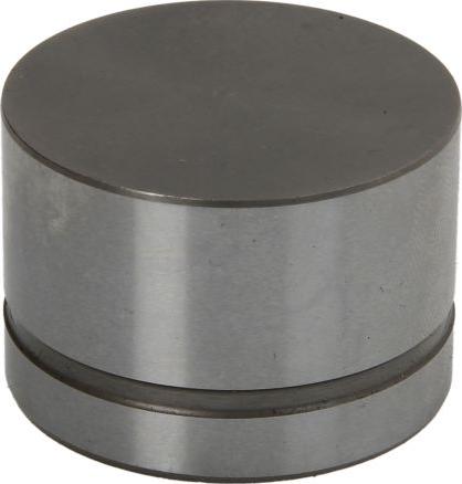 INA 420 0042 10 - Толкатель, гидрокомпенсатор abcparts.ee