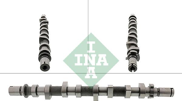INA 428 0198 10 - Распредвал abcparts.ee