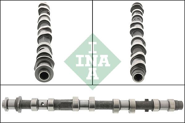 INA 428 0197 10 - Распредвал abcparts.ee